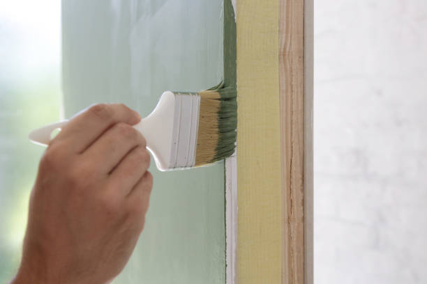 Best Mold Odor Removal Services  in Elmhurst, IL