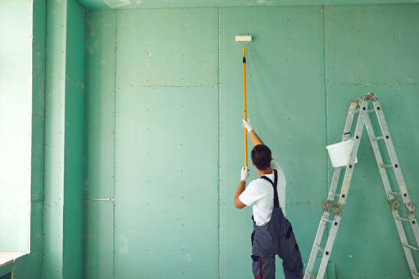 Best Post-Construction Mold Inspection  in Elmhurst, IL