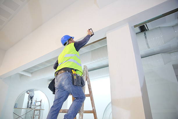 Best Forensic Mold Investigation  in Elmhurst, IL