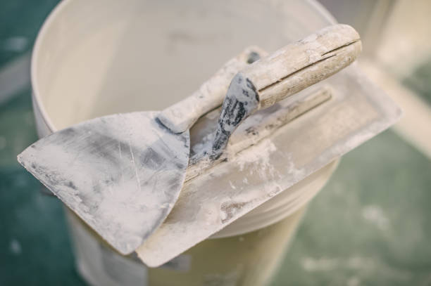 Elmhurst, IL Mold Removal Company